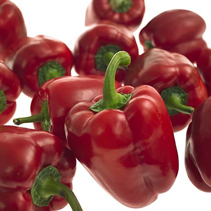 Red Capsicum Peppers 70-90mm (Case of 1)