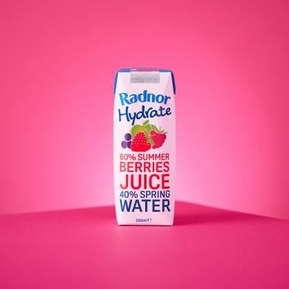 Radnor Hydrate - Summer Berries (Case of 24)