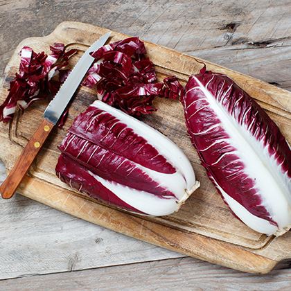BBB - Chicory Red
