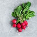 BB - Radish