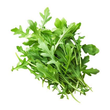 BB -  Rocket Bunch Herb - Approx 100G