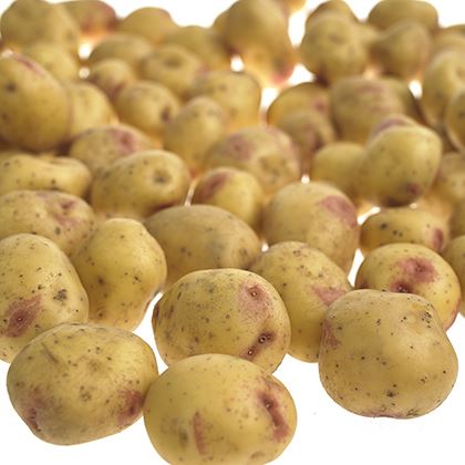 Mid Potatoes   Large < 50mm (Washed)