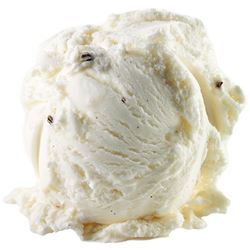 GelaRto Madagascan Vanilla Gelato