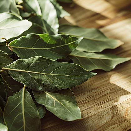 BB - Bay Leaves