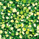(48 Hour) Pre-Order Prepared Leek Sliced