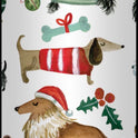 GRANDMA WILD'S Chocolate Chip & Orange Biscuits in Furry Christmas Tube 200g