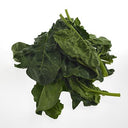 BB - Spinach Large Leaf