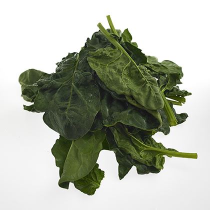 BB - Spinach Large Leaf