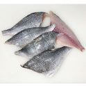 Rockport Scaled & Boned Vacuum Packed Fresh Gilt-Head Bream Fillets 80-100g - Order by 2pm Mon-Thurs for next delivery day