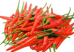 BB - Birds eye Chilli Red