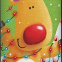 GRANDMA WILD'S Chocolate Chip & Orange Biscuits in Reindeer Giant Tube 200g
