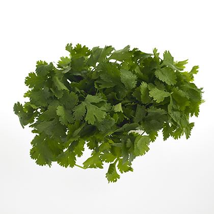 BB - Coriander