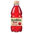 Radnor Fizz 330ml 45% Sour Cherry (Case of 24)
