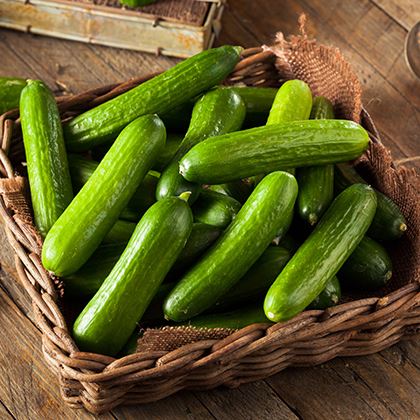 Mini Cucumbers (baby)