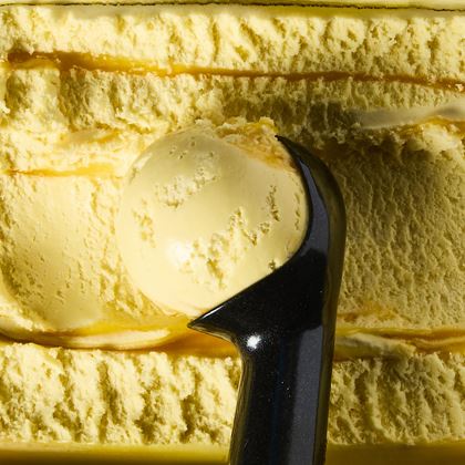 Northern Bloc Plant-based Tropical Fruit Ice Cream