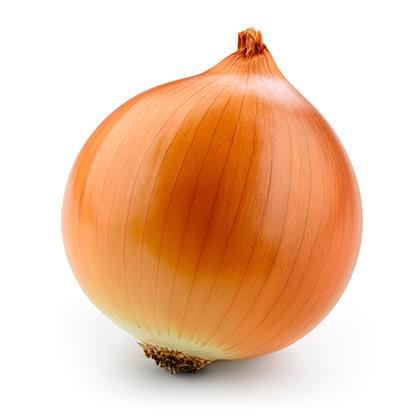 Onion Large Chile/ Spain (Case of 1)