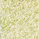 Prepared 10mm Onion Diced (Case of 1)