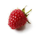 Raspberry Red Softfruit