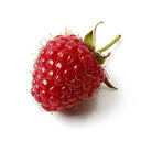 Raspberry Red Softfruit