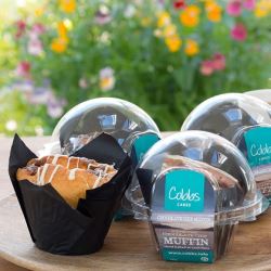 Gluten Free Domed Choc Chip Muffin