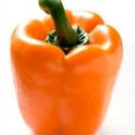 Capsicum Orange Pepper