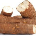 Exotic Potato Cassava  D4