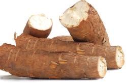 Exotic Potato Cassava  D4