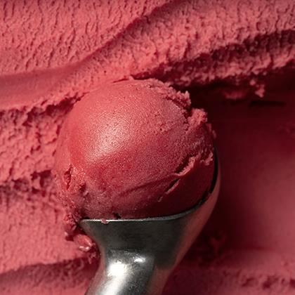 Northern Bloc Raspberry and Sorrel Sorbet (Case of 1)