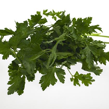 BB - Parsley Flat