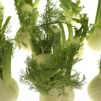 Fennel Loose