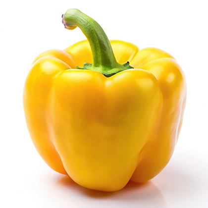 Yellow Capsicum Peppers Ungraded
