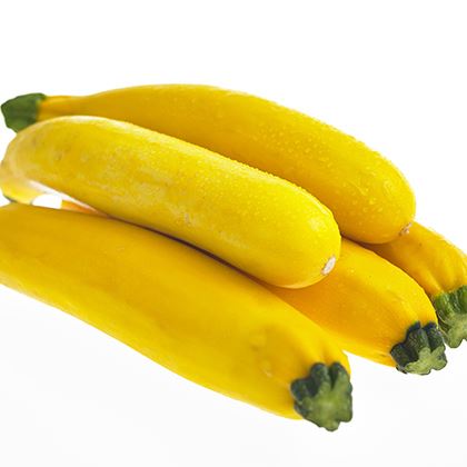 BB - Courgette Yellow