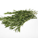 BB - Rosemary