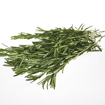 BB - Rosemary