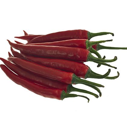 BB - Red Chillis