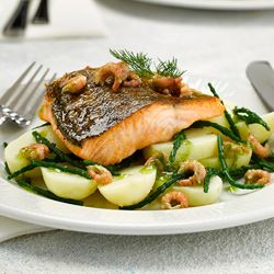 Rockport Chalkstream Trout Portion - Order by 2pm Mon-Thurs for next delivery day (Case of 5)