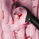 Northern Bloc Plant-based Raspberry Rhubarb Swirl Ice Cream (Case of 4)