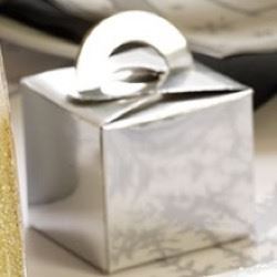 Individual Silver Party Boxes
