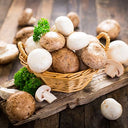 Catering Mushroom Ungraded (Case of 1)