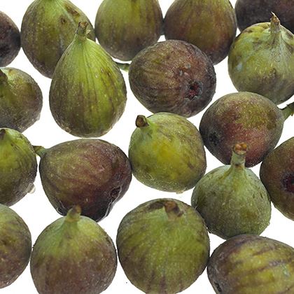 Figs Black/Green
