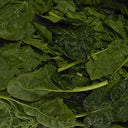 Spinach Large Leaf (Case of 1)