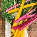 Chard Rainbow (Case of 1)