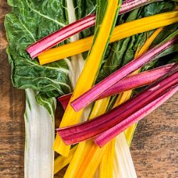 Chard Rainbow (Case of 1)