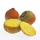 BB - Beetroot Golden.