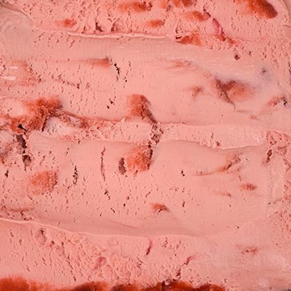 Northern Bloc Strawberry Dairy Ice Cream (Case of 1)